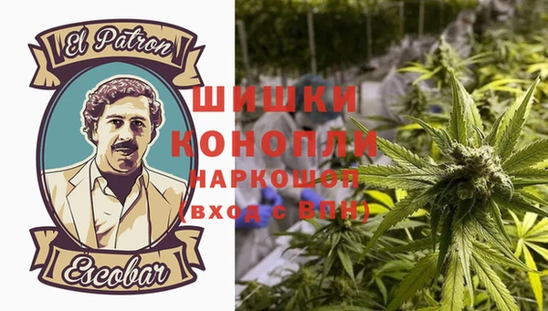 молекула духа Арсеньев