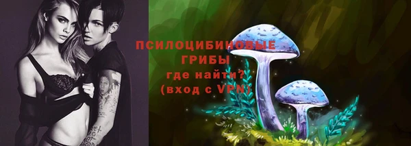 молекула духа Арсеньев