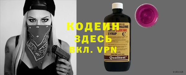молекула духа Арсеньев