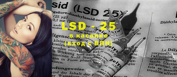 PSILOCYBIN Армянск