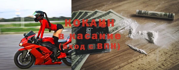 молекула духа Арсеньев