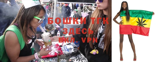 PSILOCYBIN Армянск