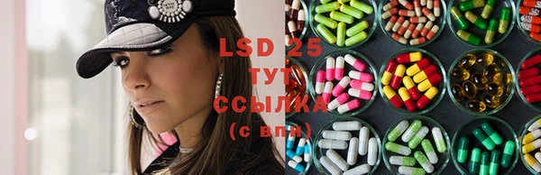 PSILOCYBIN Армянск